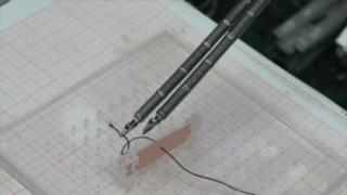 post-10124-0-14282700-1490179127_thumb.gif