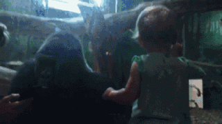 post-12290-0-14459100-1441687442_thumb.gif