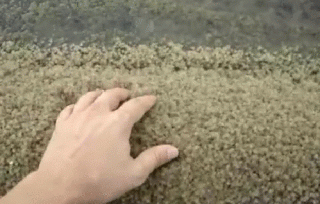 post-10124-0-51310600-1444851634_thumb.gif